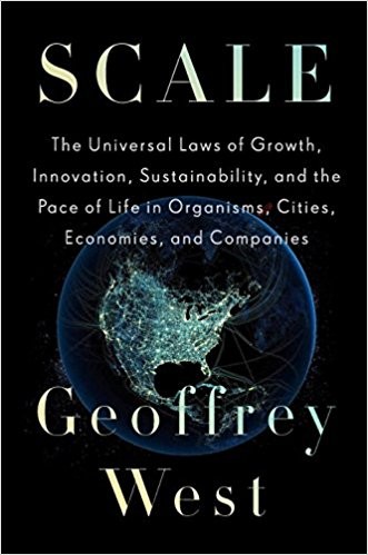 Cover of Scale by Geoffrey West